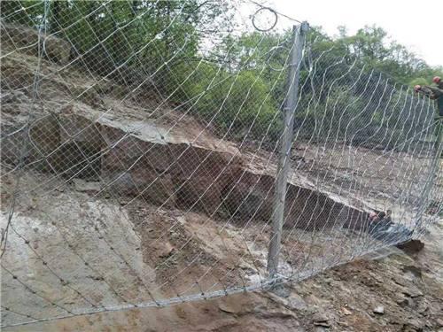 RX-050型被動防護(hù)網(wǎng)